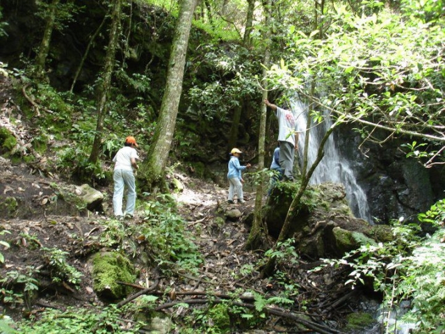 Disfrutando de la naturaleza